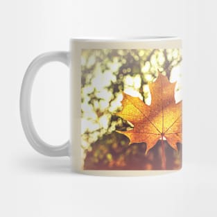 Sunlit golden maple leaf against nature background Mug